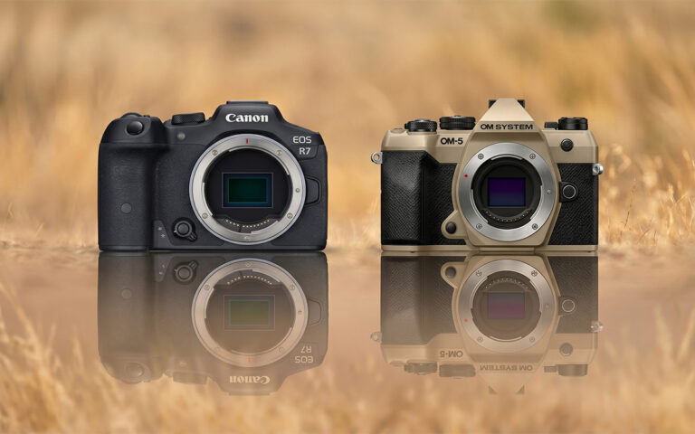 Best Cameras for Wildlife Photography Beginners in 2026: Canon’s Lens Ecosystem Advantage - Canon Rumors