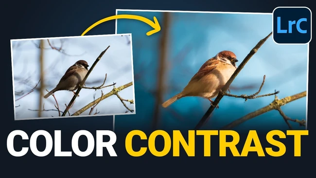 Lightroom Masking Trick Turns Flat Bird Shots Striking - Fstoppers
