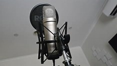 Rode NT1 5th Gen Mic: Unclippable Audio for Creators - PC Gamer on MSN