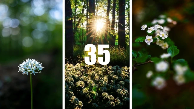 Shooting Landscapes at f/1.2: A Creative Experiment with the Viltrox 35mm f/1.2 - Fstoppers