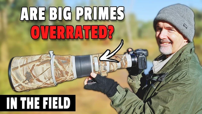 Wildlife Shooters Make the Switch: Primes to Zooms - Fstoppers