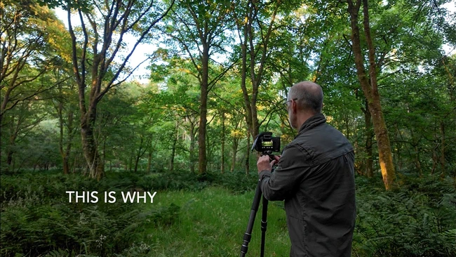 Why Shooting at 5 a.m. in the Woods Beats Waiting for Perfect Light - Fstoppers