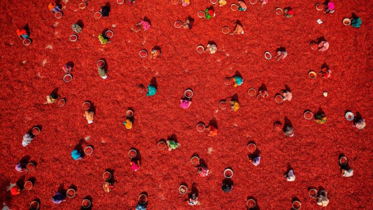 DJI Mavic 4 Pro Wins Top Aerial Photo Prize with Vibrant Chili Farm Shot - TechRadar Cameras