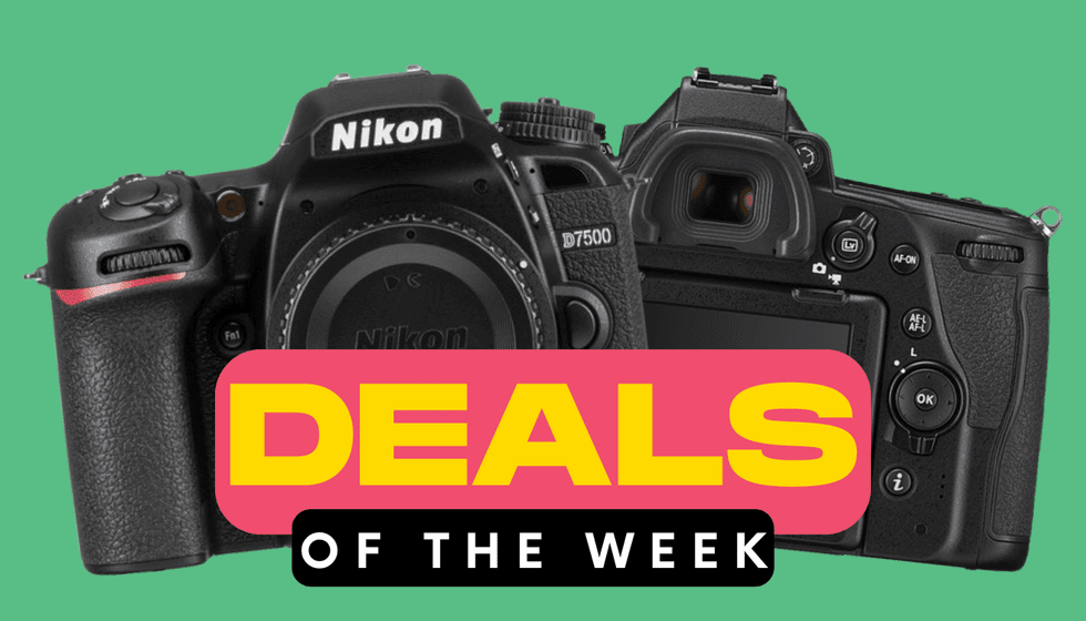 Old Nikon DSLRs: Smart Budget Picks for Creators Old Nikon DSLRs: Smart Budget Picks for Creators - No Film School