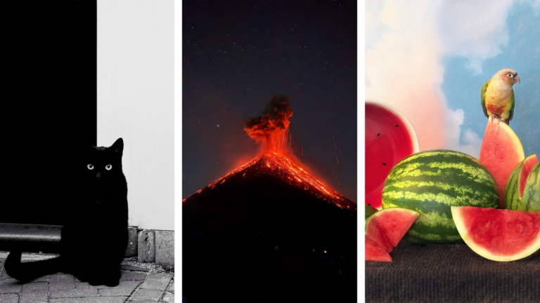 iPhone 15 Pro Wins Top Prize at 2026 iPhone Photography Awards - TechRadar Cameras