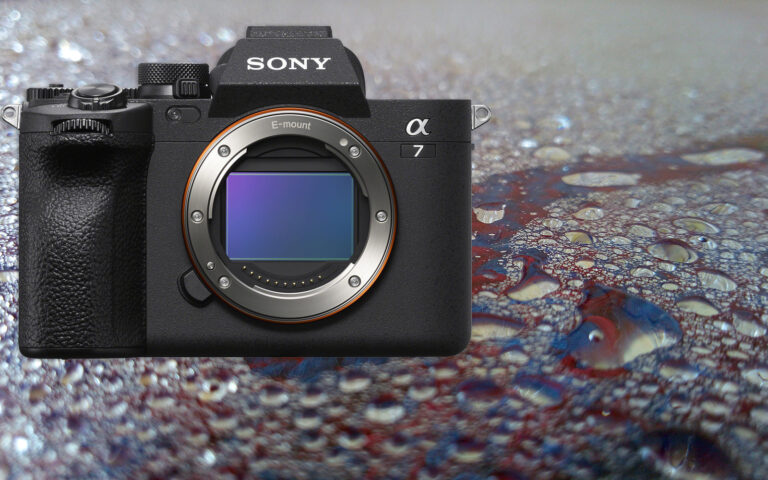 Best Cameras for Rainy Weather: Canon’s Weather-Sealed Options