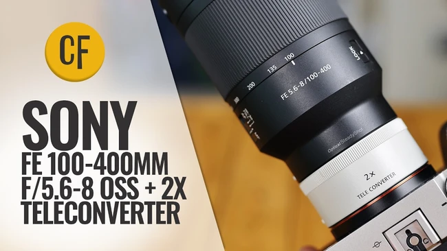 Budget Birding Lens: Sony FE 100-400mm for E-Mount - Fstoppers