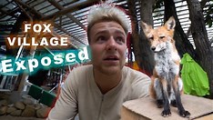 Creator's Animal Abuse Investigation Meets Travel Gear - YouTube on MSN