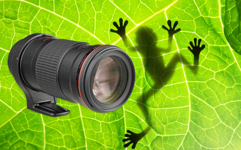 Canon to Add Second RF Macro Lens Before Year-End 2026