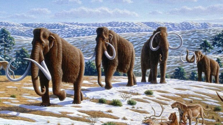 Colossal Biosciences Delays Woolly Mammoth Revival to Early 2030s