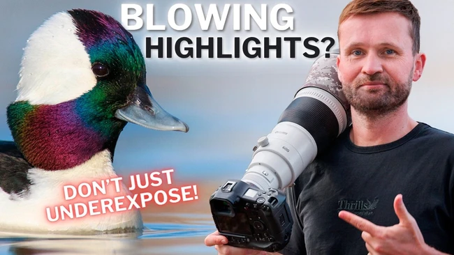 How to Expose Birds in Tough Light Without Underexposing