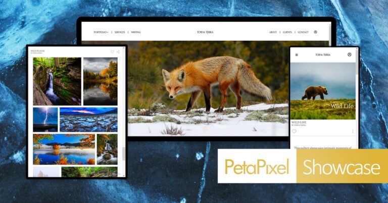 Zenfolio Launches NextZen to Simplify Photography Business Operations
