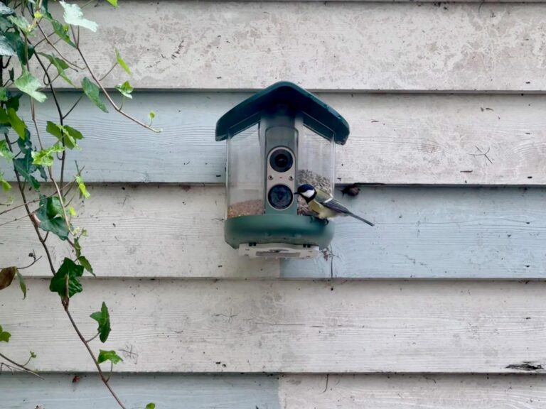 The Risks of AI Hardware: A Smart Bird Feeder Review