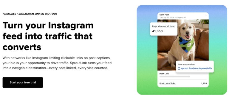 8 Best Link-in-Bio Tools for Brands and Creators in 2026