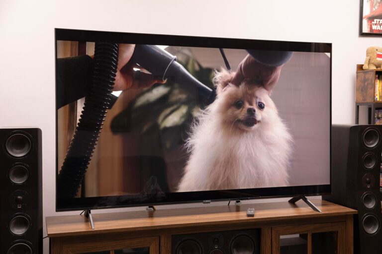 Sony Cameras Shine with Advanced Autofocus and Sensor Tech