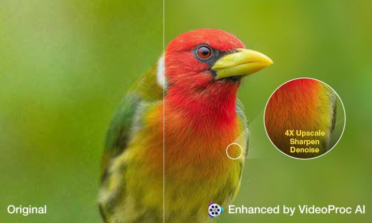 VideoProc Offers All-in-One Tool to Enhance Old Footage and Photos for Creators - PetaPixel