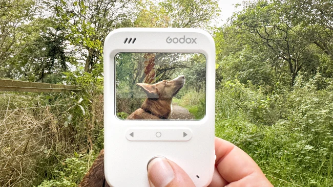 Godox C100 Review: A Screen-Free Camera for Creative Experimentation