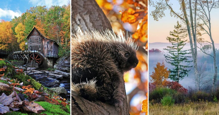 20 Years of Fall Color Photography: Lessons for Creators